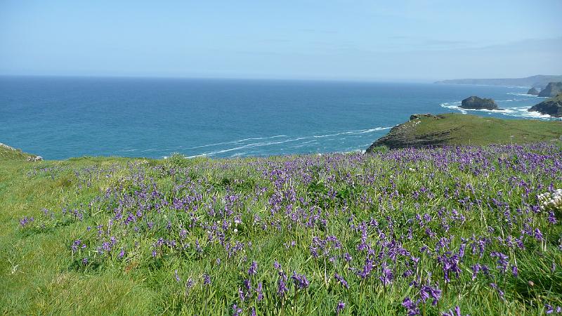 P1000864- -Vue depuis chateau Arthur - Tintagel.JPG - Vue depuis le château d'Arthur - Tintagel